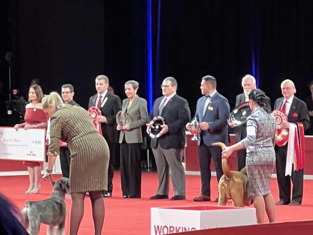 2022 AKC National Championship Best in Show Competition